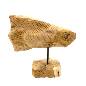 Fish abstract teak (3166)