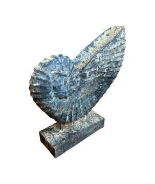 Schelp op stok H30 cm (5980)