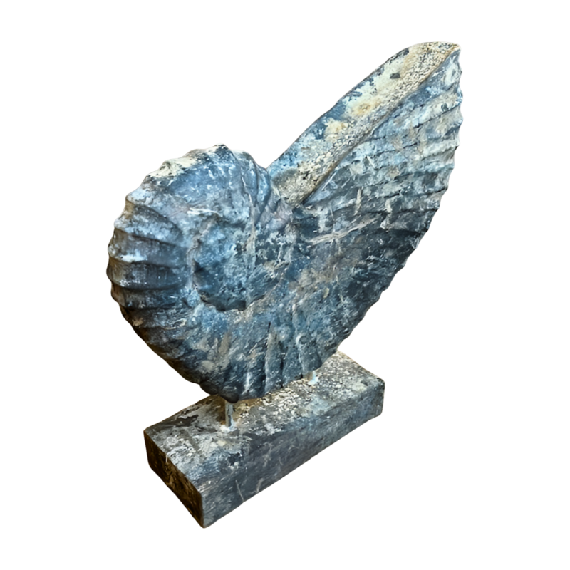 Shell on stick H30cm (5980)
