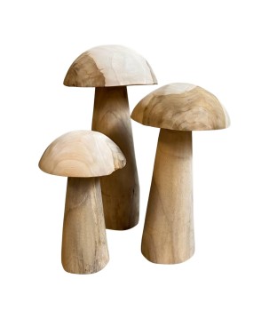 Mushroom Teak 40cm(3145)