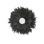 Walldeco feathers 35cm black(3247)