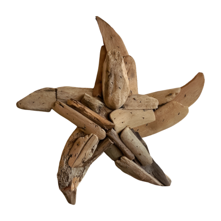 Seestern 30 cm Wanddeko Driftwood (3300)
