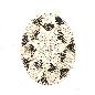 Placemat rattan D35(3281)