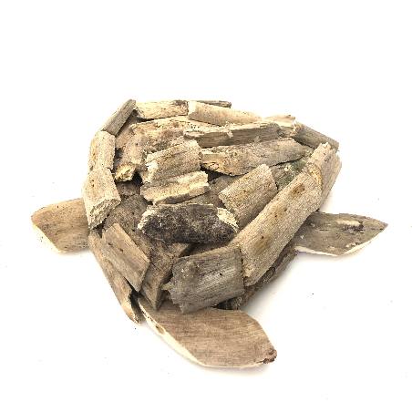 Turtle walldeco driftwood (3299)