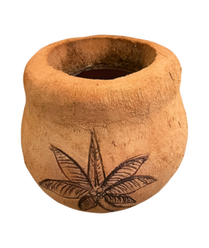 Coco pot palm(3560)