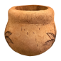 Coco pot palm(3560)
