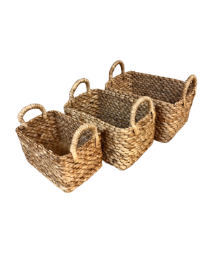 Water Basket S/3 (3667)