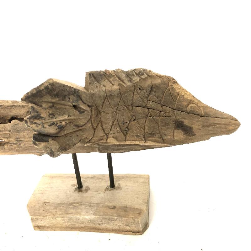 Fish Luku liggend 75cm(3376)