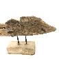 Fish Luku liggend 75cm(3376)