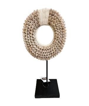 Papua shell 20cm(3384)