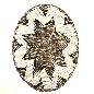 Walldeco/placemat rattan D45cm(3387)