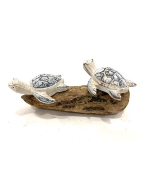Schildpadden op drijfhout (3873)