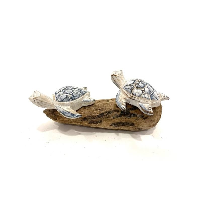 Schildkröten auf Treibholz (3873)