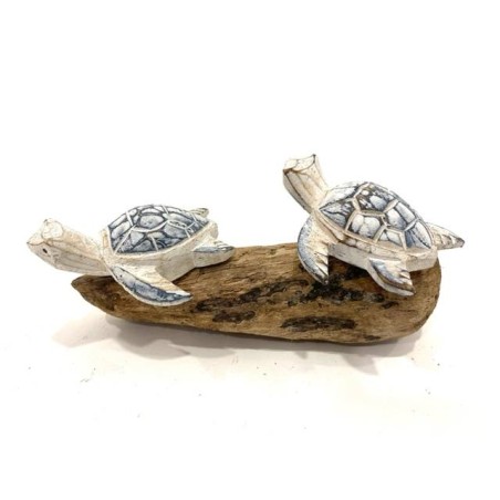 Schildpadden op drijfhout (3873)