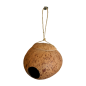 Birdhouse coco (3882)
