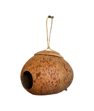 Birdhouse coco (3882)