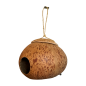 Birdhouse coco (3882)