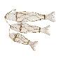 Fish on rope S/3 w.w.(7419)