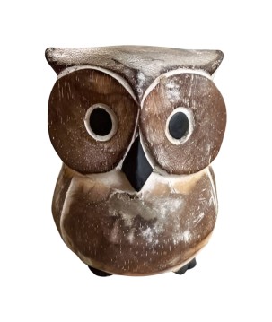 Owl wood grey H20 (3939)