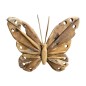 Butterfly Akar M 40x45 (80185)