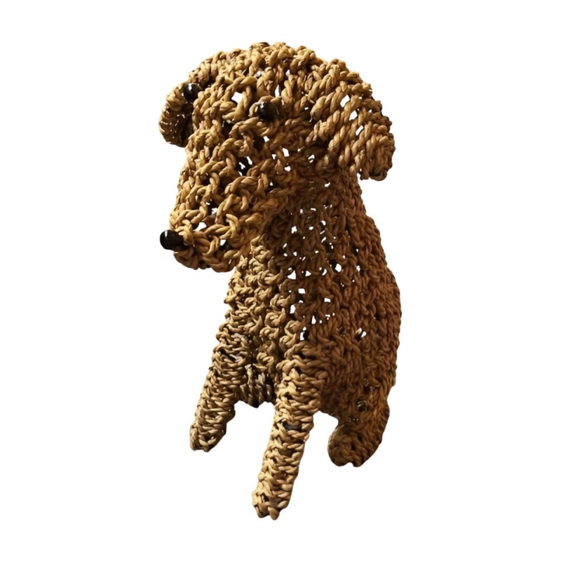 Zittende hondentouw 50 cm (80265)