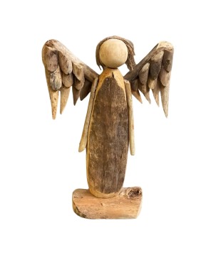 Angel wing 50cm.(80269)