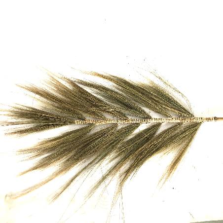 Bulu pluim 200cm naturel(3463)