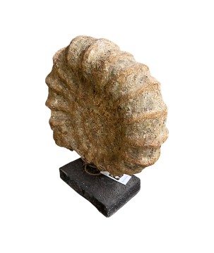 Fossiel on stand 36x14H42cm(80457)