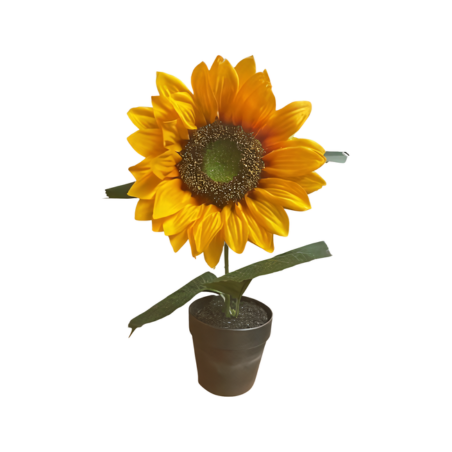 Sonnenblume im Topf(80527)