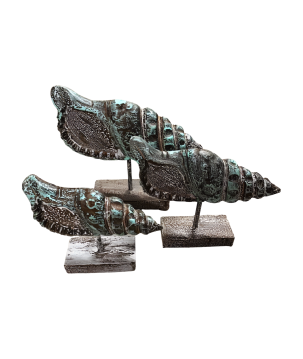 Shell Pici S (80590)