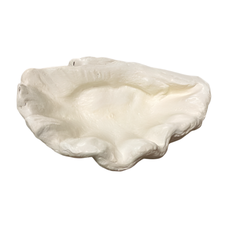 Schaal schelp parel 30x25H15cm (80713)