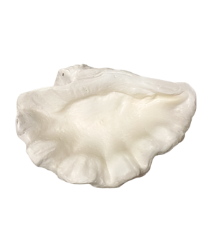Bowl shell pearl 30x25H15cm (80713)