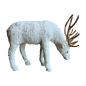 Hirsch 45cm L (80920)