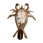 Lobster waterhouder L 65 cm(80974)