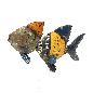 Fish old iron 29x6H17cm(3633)