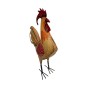 Big rooster 55x20H75(7198)