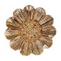 Wallflower waterh. L (80392)