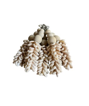 Keyhanger shell 5pcs turq.(3893)