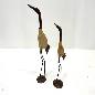 Bird Rohit M H48cm(3800)