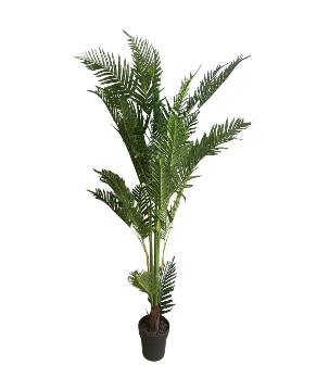 Plant varen 150cm (3840)