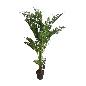 Plant varen 150cm (3840)