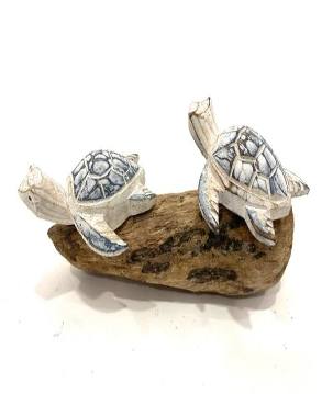 Turltles on driftwood (3873)