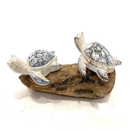 Turtles on driftwood (3873)