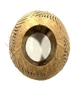 Coconut leaf (3879)