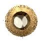 Coconut leaf (3879)
