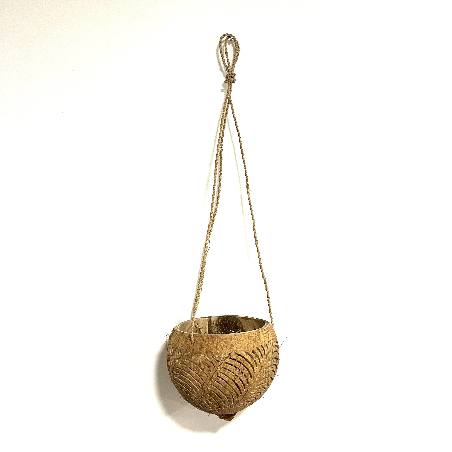 Coconut leaf hang (3880)