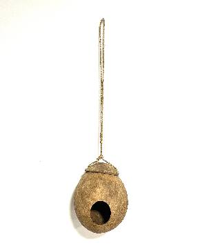 Birdhouse coco (3882)