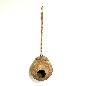 Birdhouse coco (3882)