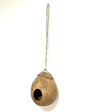 Birdhouse coco (3882)