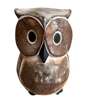 Owl wood grey H20 (3939)